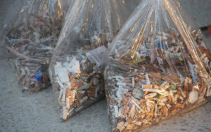 They collected over 50,000 discarded cigarette butts from the sands